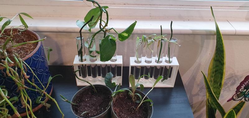 Propagation Station 4