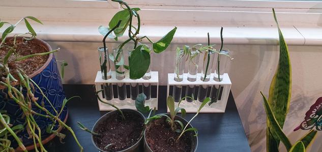 Propagation Station 4