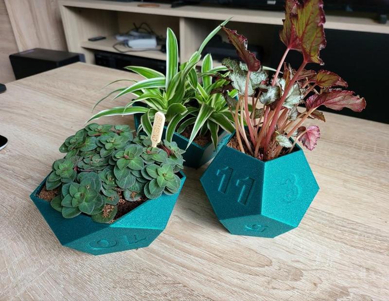 Dice planter set (RPG tabletop games)