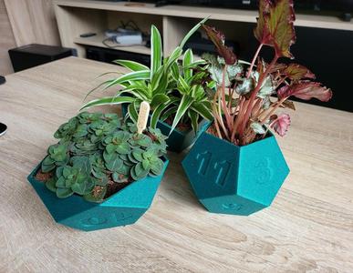 Dice planter set (RPG tabletop games)
