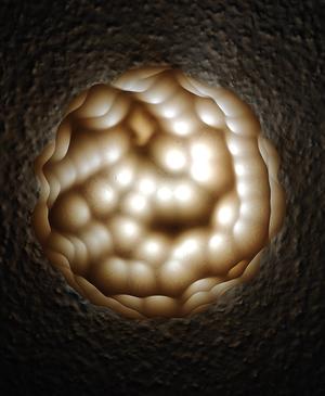 ReACTIVE No.2 (Halfshell).stl