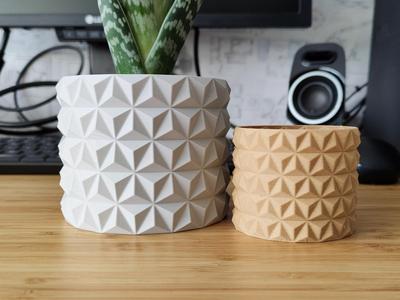 Cactus Flower Plant pot and Planter - Vase mode