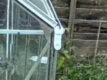 Greenhouse Downpipe