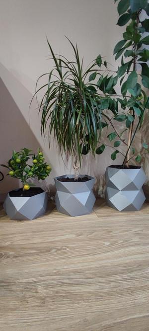 Plant pot 