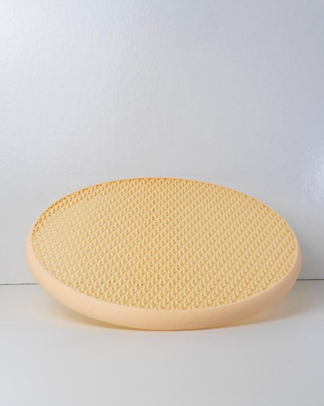 Frisbee