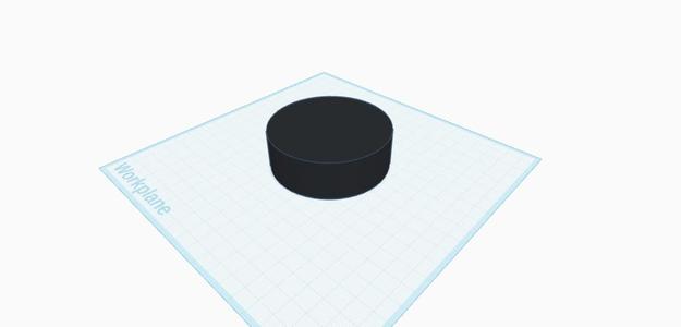 Hockey Puck