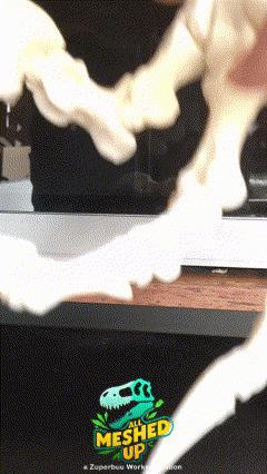 Fossil Replica Deinonychus Foot with Articulation and Stand