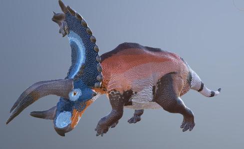 Revised Pentaceratops