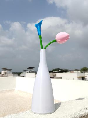 Decorative vase 4 Free