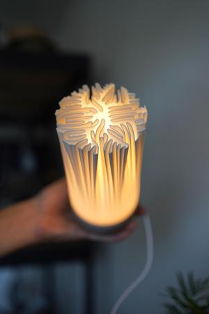 ORGANIS minimalist organic table lamp