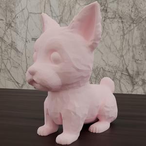 Cute Puppy