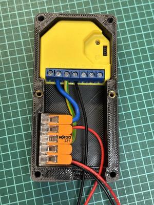 Shelly Case with Wago Terminals