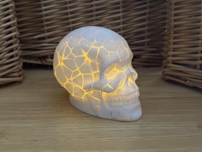 Cracked Skull