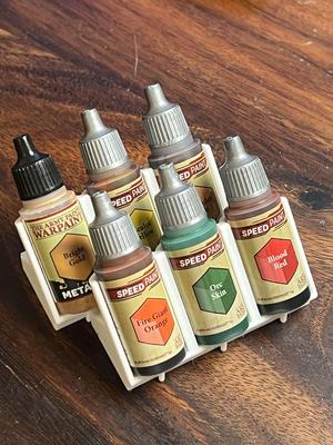 Model/Hobby Paint Organizer