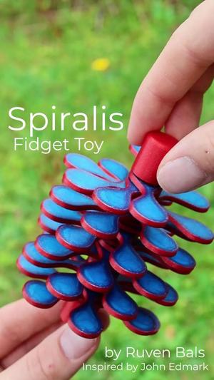 Spiralis Fidget Toy