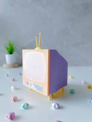 TV Storage Box