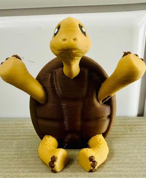LFC Happy Turtle Sculpt