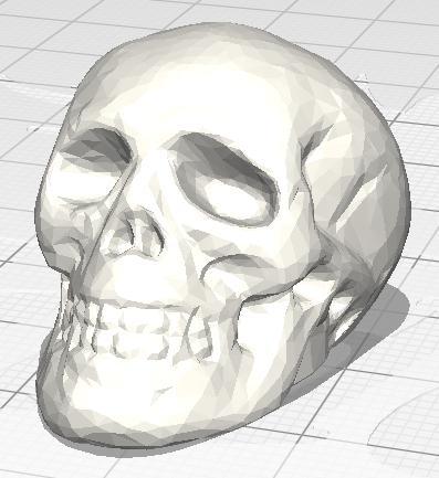 Skull Button Cap v2