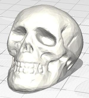 Skull Button Cap v2