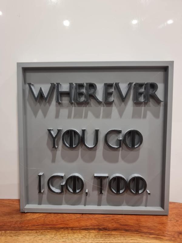 GOT Inspired Decor-Wherever you go