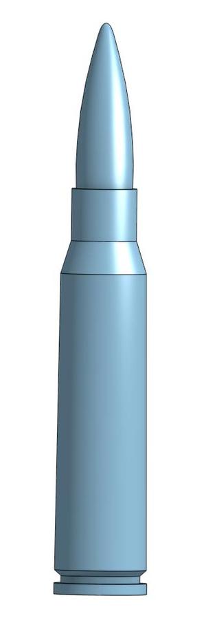 7.5x54mm French Cartridge