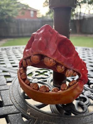 Dragon mask!