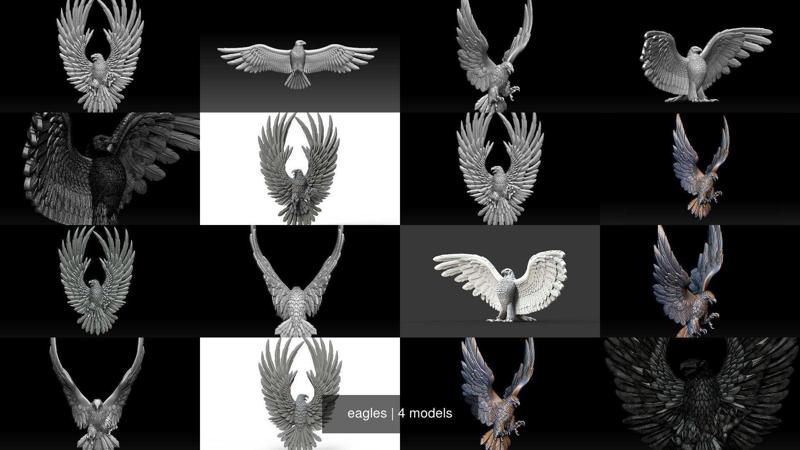eagles 3D Model Collection