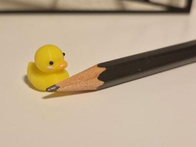 Small Duck