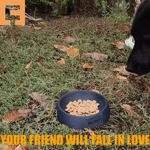 Pet Slow Feeder Bowl