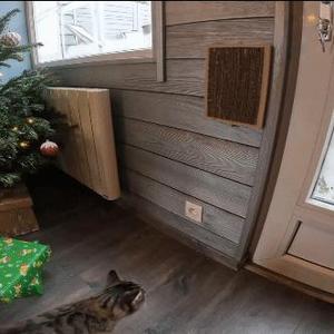 CAT SCRATCHING POST