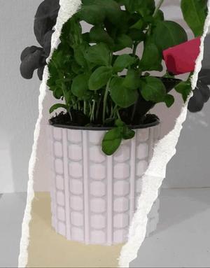 Herb planter self watering