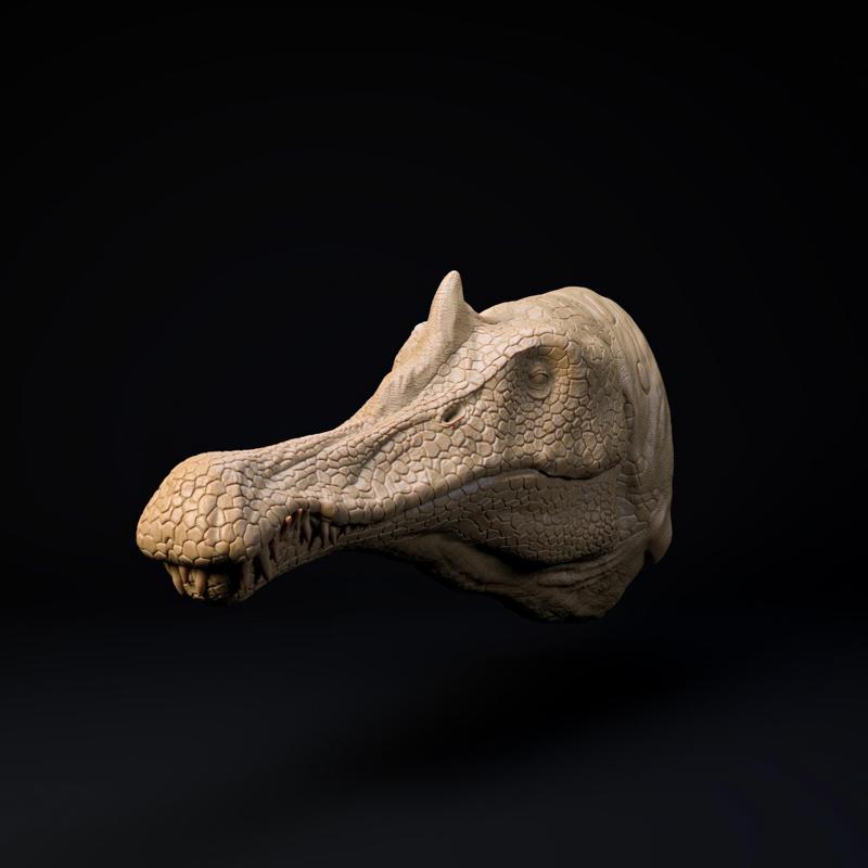 Spinosaurus mount-head