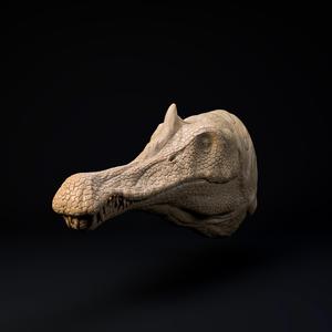 Spinosaurus mount-head