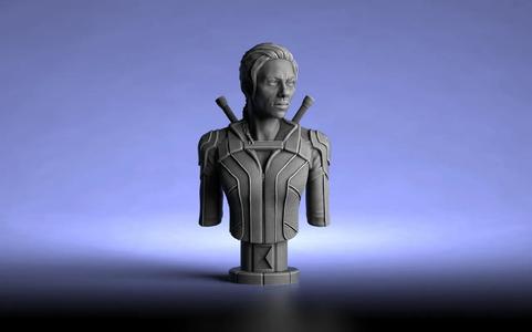Black Widow Bust   