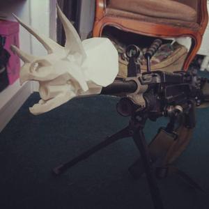 Low Poly Triceratops Skull Flash Hider