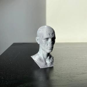 The Dark Lord´s bust (Nose supports not needed)   