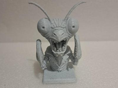 The bit crazy mantis 