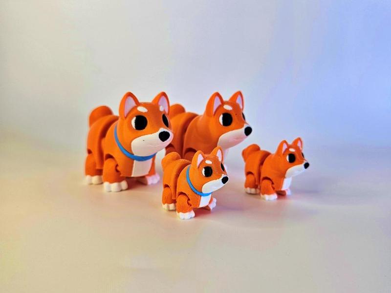 Cute Shiba Inu