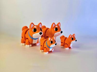 Cute Shiba Inu