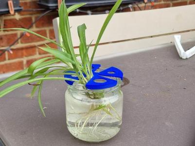 Open ended plant propagation cover