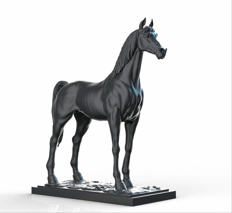 Arabian horse