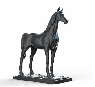 Arabian horse