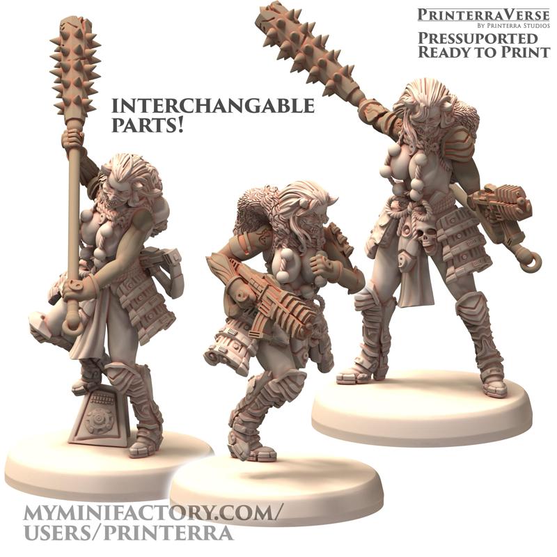 034 TECHNOPUNK CyberOnis Space Oni Female Samurai Scifi Infinite