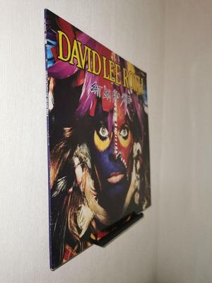 Record wall mount / Wandhalter für Schallplatten