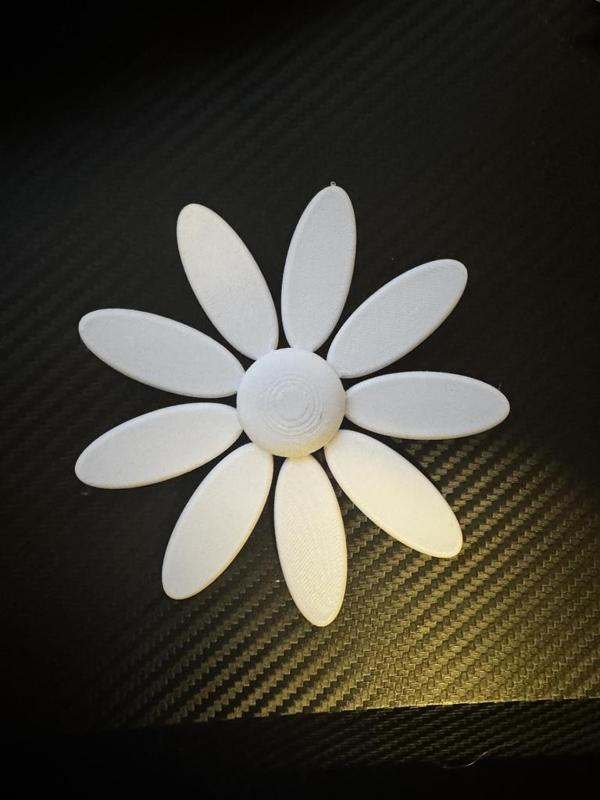 Flatpack Daisy