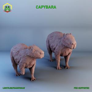 Capybara