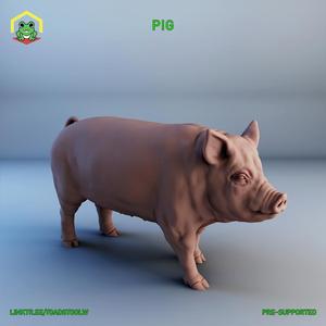 Pig