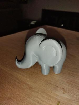 Baby Elephant