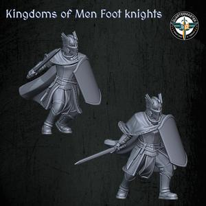 Kingdoms of Men - Foot Knights