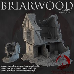 Dark Realms - Briarwood - House 4 Ruins